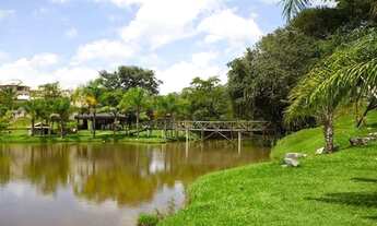 Imagem 7: Lotes em Betim Mg