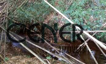 Imagem 6: 2165 Linda fazenda de 95 ha em ótima localização em Antonio Carlos - MG