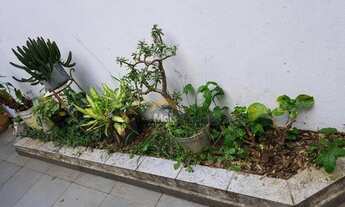 Imagem 7: MANSÃO EM LOCALIZAÇÃO PRIVILEGIADA NO BAIRRO DO LIMÃO