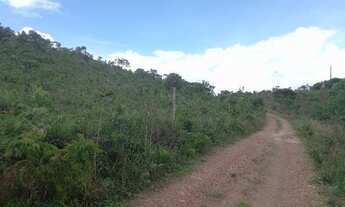 Imagem 3: Oferta Imperdível - Excelente chácara de 78 mil/m² com acesso ao rio São Bartolomeu