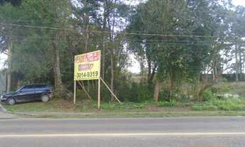 Imagem: Terreno Santa Candida