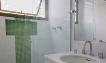 Imagem 14: Moema - Pássaros