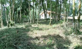 Imagem 2: Ótima oportunidade bela chácara no bairro campestre em Tijucas do sul PR