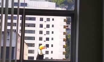 Imagem 2: Tijuca - Excelente apto 04 quartos na Rua Homem de Melo