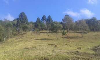 Imagem 7: CHÁCARA com 3 dormitórios à venda com 24204m² por R$ 700.000,00 no bairro Roseira - COLOMB