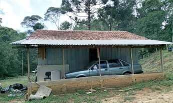 Imagem 4: Ótima oportunidade bela chácara no bairro campestre em Tijucas do sul PR