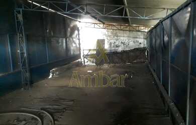 Imagem 5: Comercial - Ribeirão Preto - Campos Eliseos