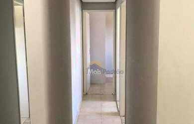 Imagem 3: ILHAS CANÁRIAS - BUTANTÃ