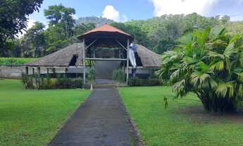 Imagem 3: Fazenda/Sítio/Chácara para venda possui 60000 metros quadrados em Parada Modelo - Guapimir