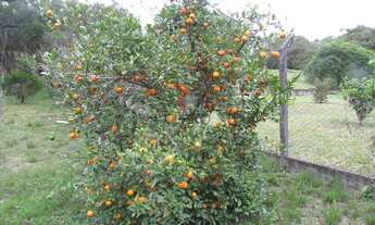 Imagem 7: CHÁCARA/FAZENDA/SÍTIO com 1 dormitório à venda com 6101.38m² por R$ 450.000,00 no bairro C