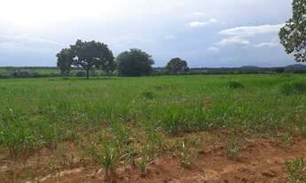 Imagem 4: Fazenda de 316 alqueires em Porangatu go