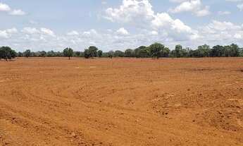 Imagem 2: Fazenda de 316 alqueires em Porangatu go