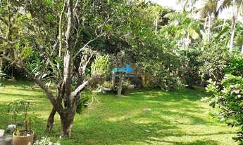 Imagem 4: Florianópolis - Casa Padrão - Campeche