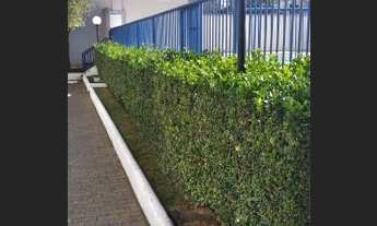 Imagem 3: Apartamento com 3 dormitórios à venda, 78 m² por R$ 380.000,00 - Macedo - Guarulhos/SP