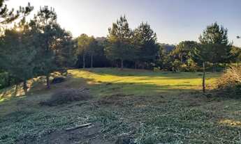 Imagem 5: RIO NEGRINHO - AREA - Vila Nova