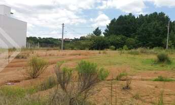 Imagem 2: PORTO ALEGRE - Terreno Padrão - Guarujá