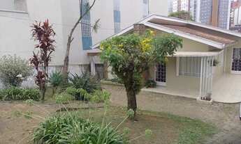 Imagem 3: Terreno no Bigorrilho - ARYA 1