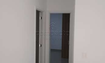 Imagem 4: Apartamento Padrão em São José do Rio Preto