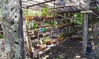 Imagem 5: CACHOEIRA DA PRATA - Sítio - Zona Rural