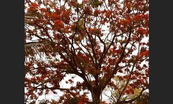 Imagem: Pinheiros - Localização genial! - com