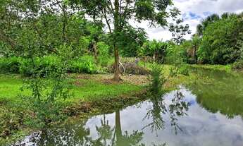 Imagem 4: Chácara, muita água, ótimo valor e local privilegiado