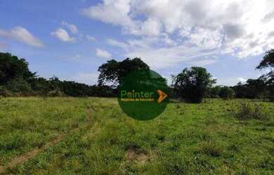 Imagem 7: Fazenda com 2 dormitórios à venda, 2100000 m² por R$ 18.000.000 - Zona Rural - Duerê/TO