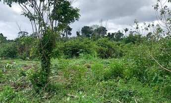 Imagem 6: Fazenda à venda em Uruará - PA
