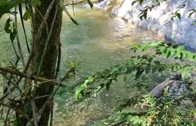 Imagem 4: Venda de terreno sul de mg