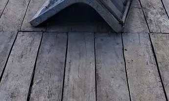 Imagem 3: Terreno ilha do combu