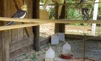 Imagem 5: Fazenda com à venda, 60000 m² por R$ 1.490.000