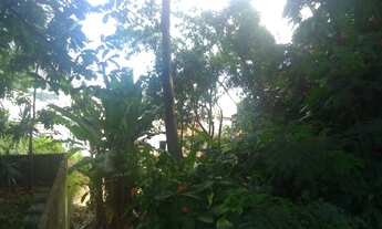 Imagem 2: Ótima oportunidade para investimento!