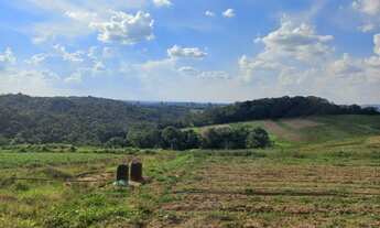 Imagem 2: Terreno para venda tem 600 m² em Cotia