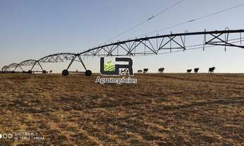 Imagem: Fazenda de 405 Alqueires em Ipameri