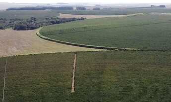Imagem: Fazenda em unai m.g 1.000 hectares 103.000.000.00