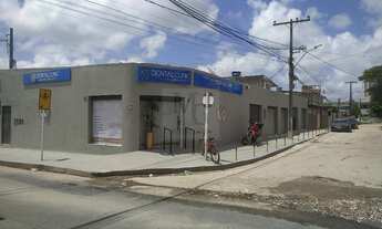 Imagem: Galeria Maurício de Nassau