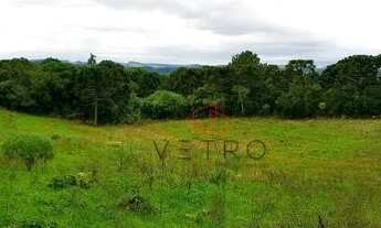 Imagem 3: Sítio no bairro Vila Oliva em Caxias do Sul!