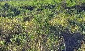 Imagem 2: Vendo ou troco terrenos em SAP!