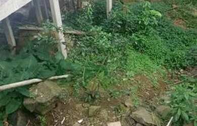 Imagem 3: Vendo tereno na costa verde