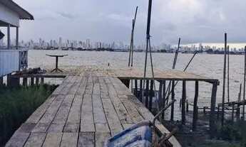 Imagem 4: Terreno ilha do combu