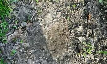 Imagem 2: Ótimo Sítio entre Palmas-TO e Paraíso-TO