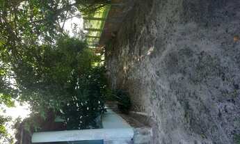 Imagem 5: Vende-se Sítio em Serrinha-ba