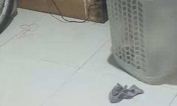 Imagem 4: Vendo uma quitinete q s c b