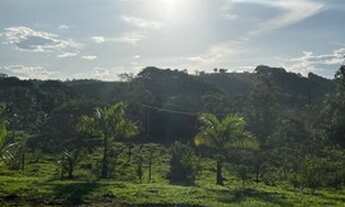 Imagem 5: Granja Goianá Chácara com venda por R$129.000