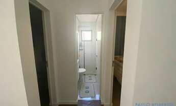 Imagem 6: APARTAMENTO - VILA SONIA - SP