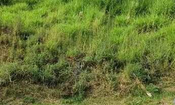 Imagem 3: TERRENO EM CONDOMÍNIO - CONDOMÍNIO ARUJÁ VERDES LAGOS - SP