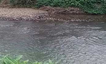 Imagem 7: Chácara, frente para o Rio, e parte alta para fazer uma bela morada