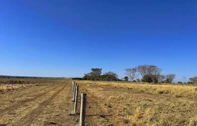 Imagem: Fazenda com 656 alq formado 190 alq. APP