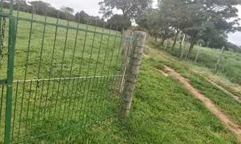 Imagem 3: Sitio em Neves Paulista com 2.36 alqueires excelente estrutura - Troca 100% em Rio Preto!