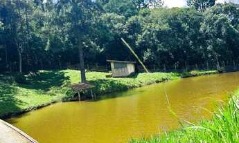 Imagem 4: Invista no Seu Futuro: Terreno em Ibiúna, Cidade em Crescimento Valorizado!