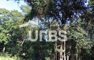 Imagem 2: Oportunidade de chacará com mata exuberante